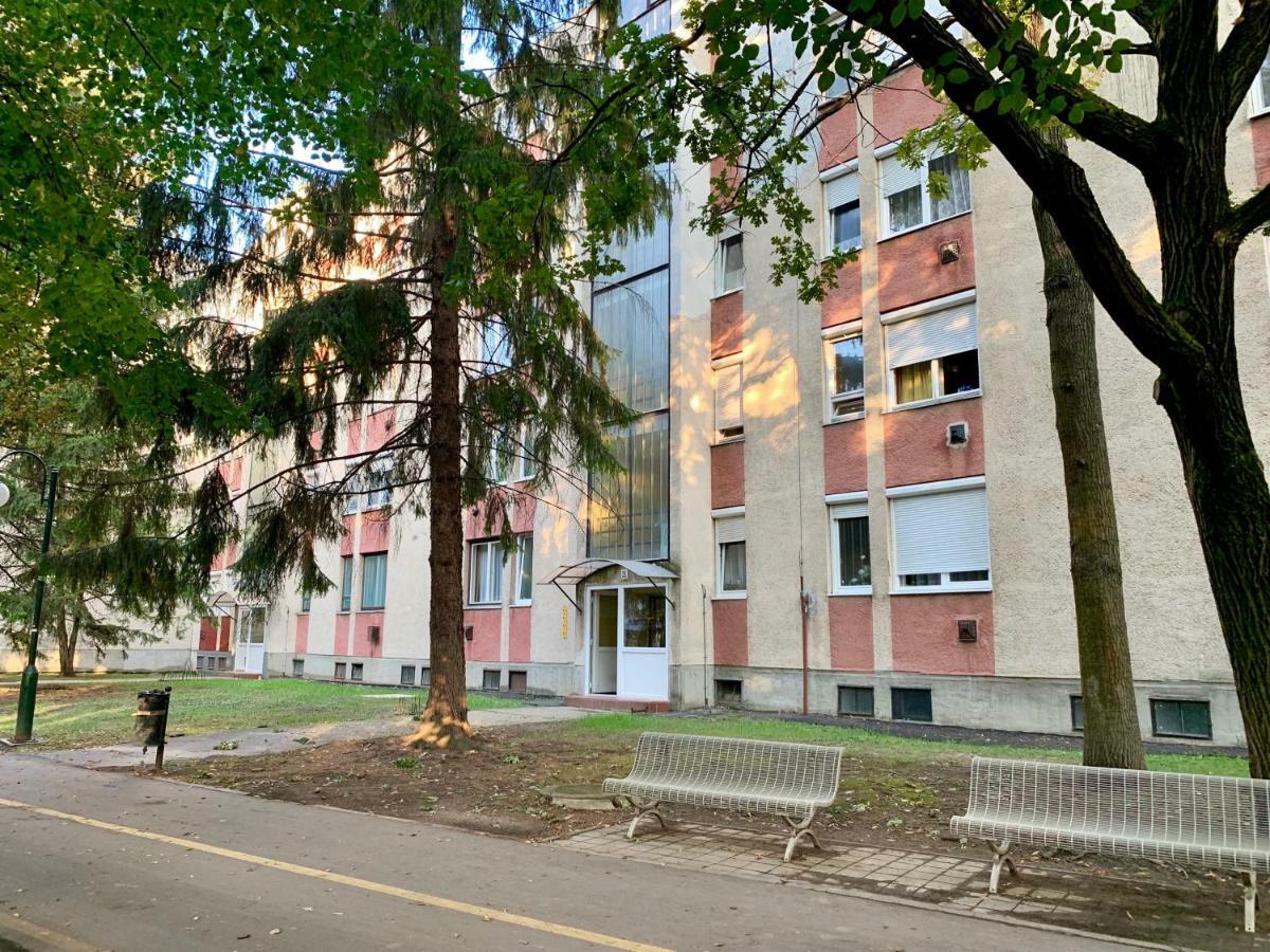 Anita Apartman Hajduszoboszlo Exterior photo